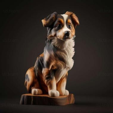 3D model Miniature American Shepherd dog (STL)